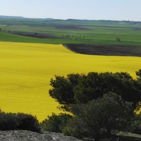 דירות Mota del Marqués La Aldea Colorada מראה חיצוני תמונה