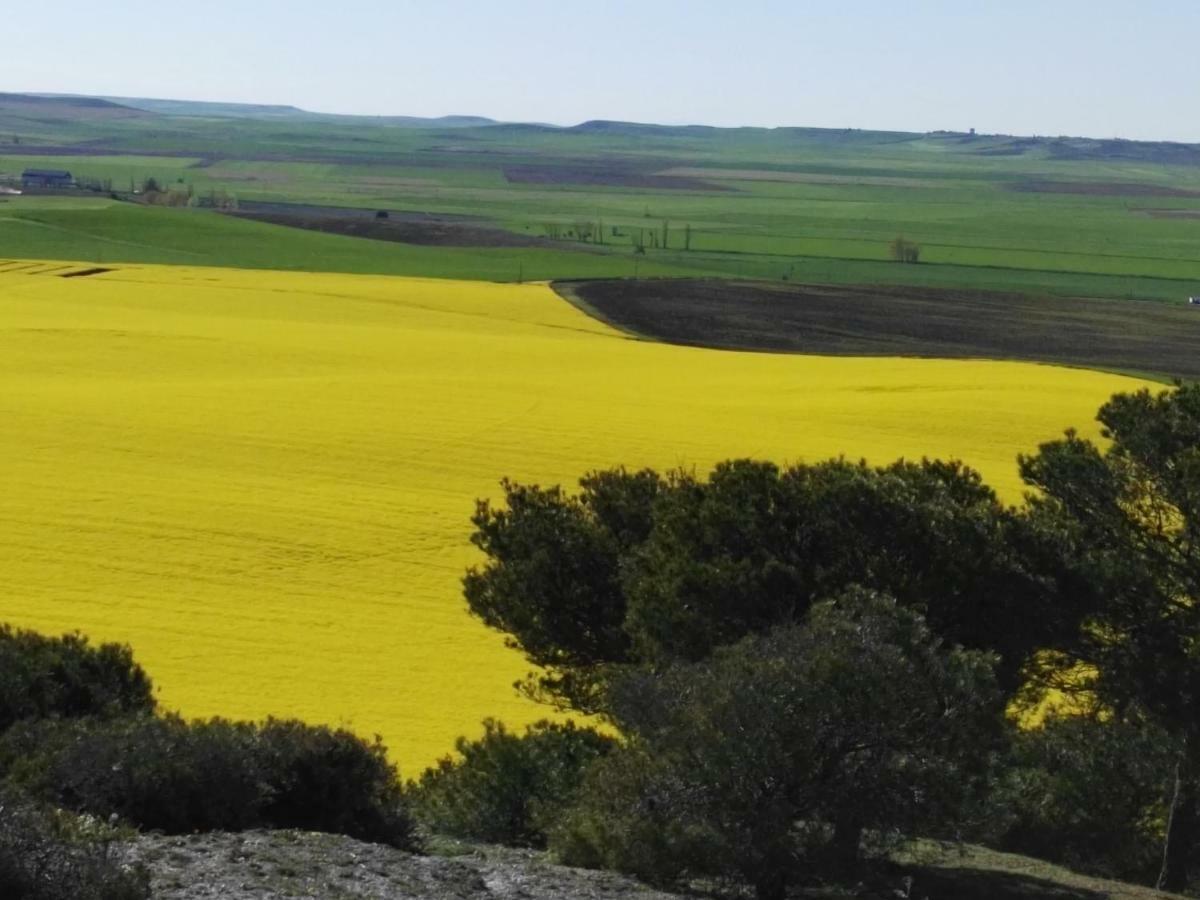 דירות Mota del Marqués La Aldea Colorada מראה חיצוני תמונה