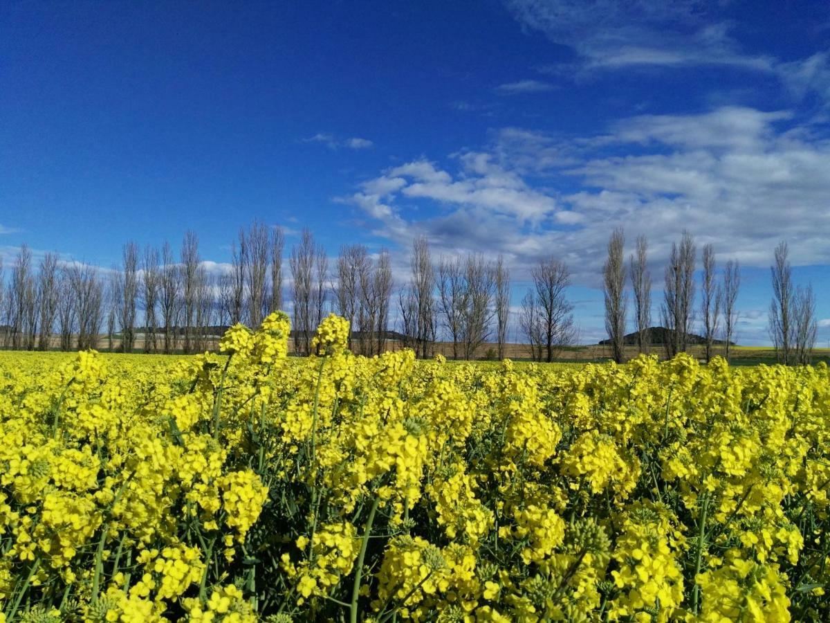 דירות Mota del Marqués La Aldea Colorada מראה חיצוני תמונה