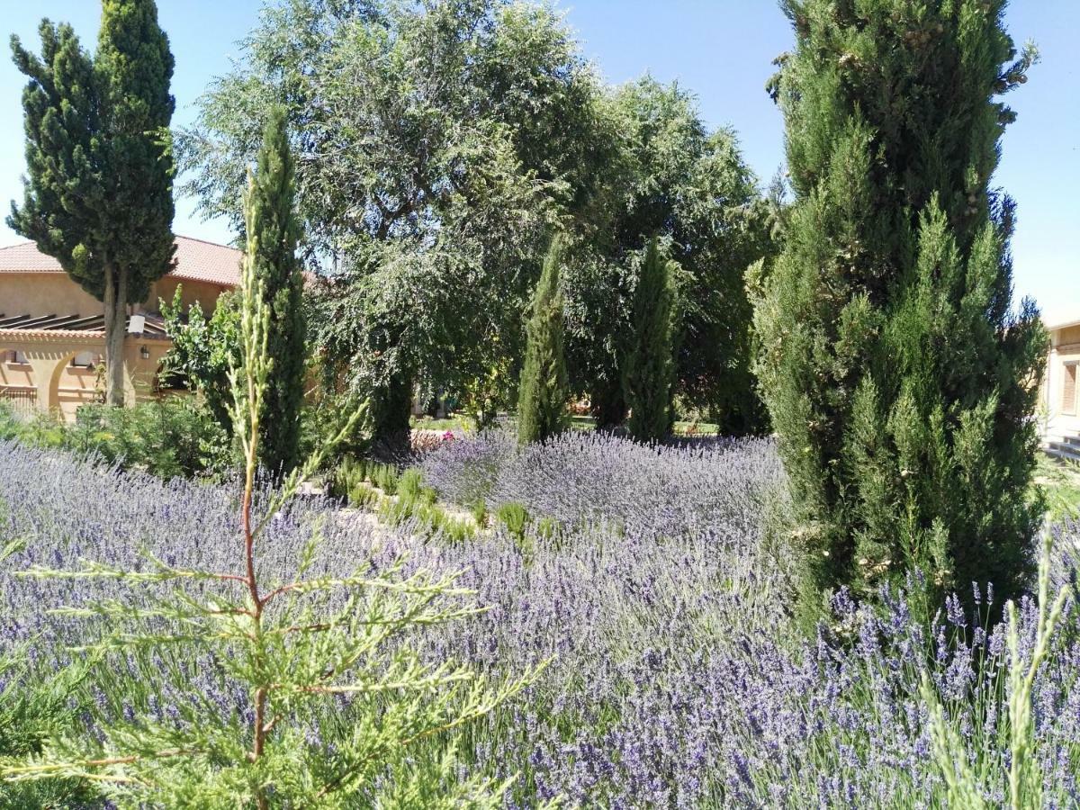 דירות Mota del Marqués La Aldea Colorada מראה חיצוני תמונה